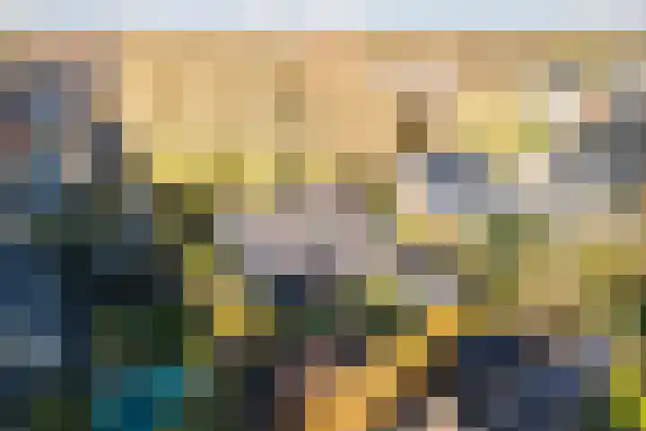 den Herd 2 Reusel thumbnail 67
