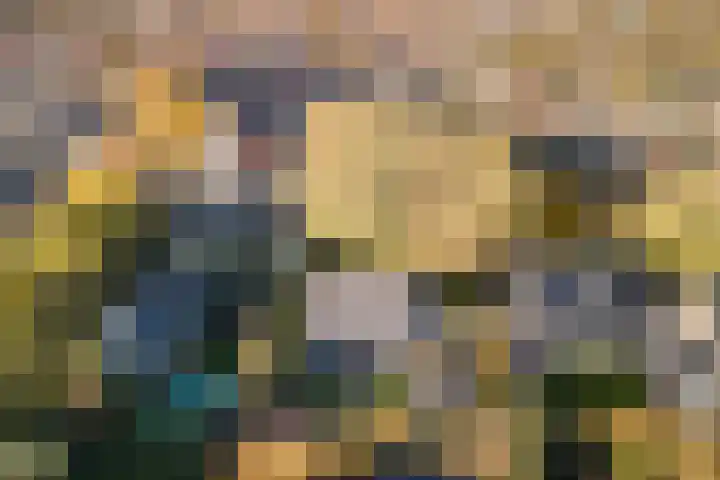 den Herd 2 Reusel thumbnail 68
