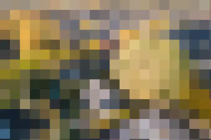den Herd 2 Reusel thumbnail 70