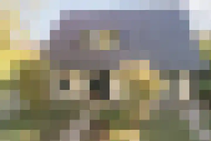 den Herd 2 Reusel thumbnail 72