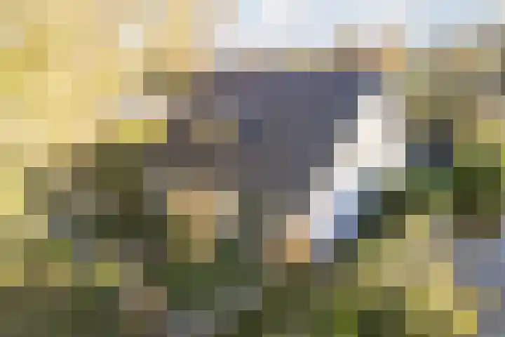den Herd 2 Reusel thumbnail 73