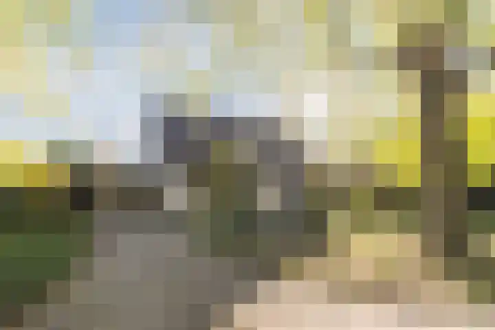 den Herd 2 Reusel thumbnail 74