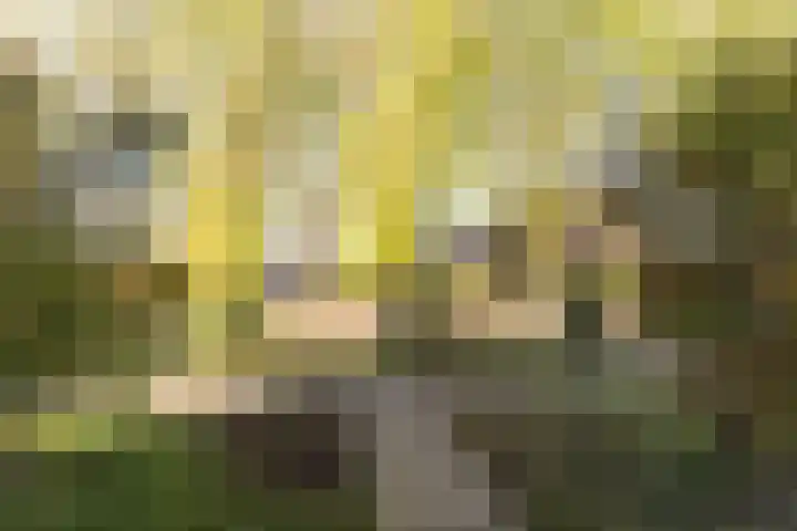 den Herd 2 Reusel thumbnail 76