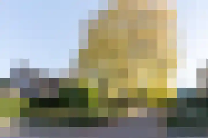 den Herd 2 Reusel thumbnail 77
