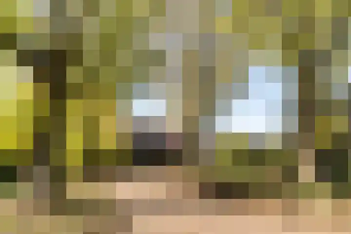 den Herd 2 Reusel thumbnail 78