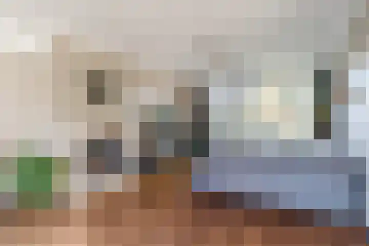 den Herd 2 Reusel thumbnail 8