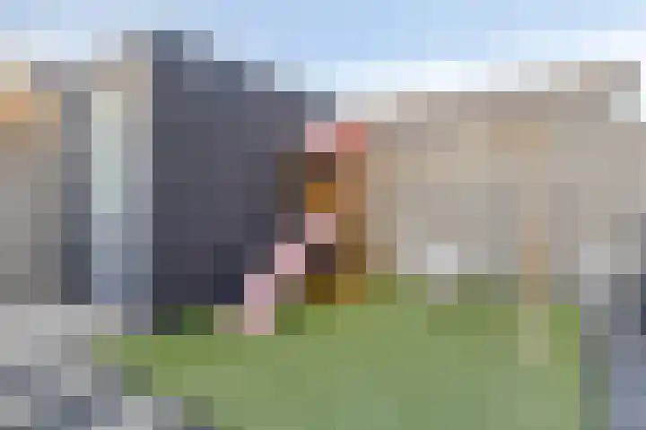 Den Herd 29 Geffen thumbnail 23