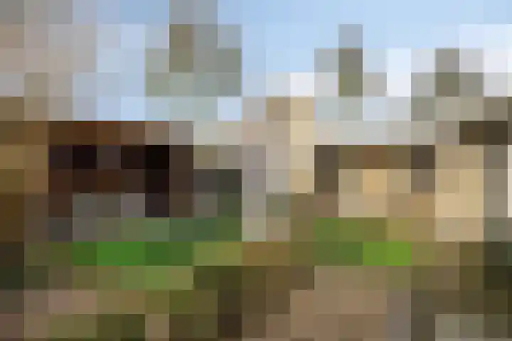 Den Herd 31 Berkel-Enschot thumbnail 34