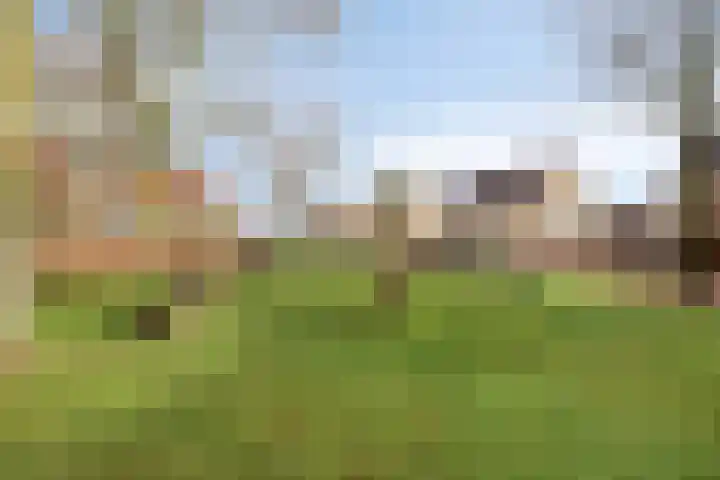 Den Herd 31 Berkel-Enschot thumbnail 40