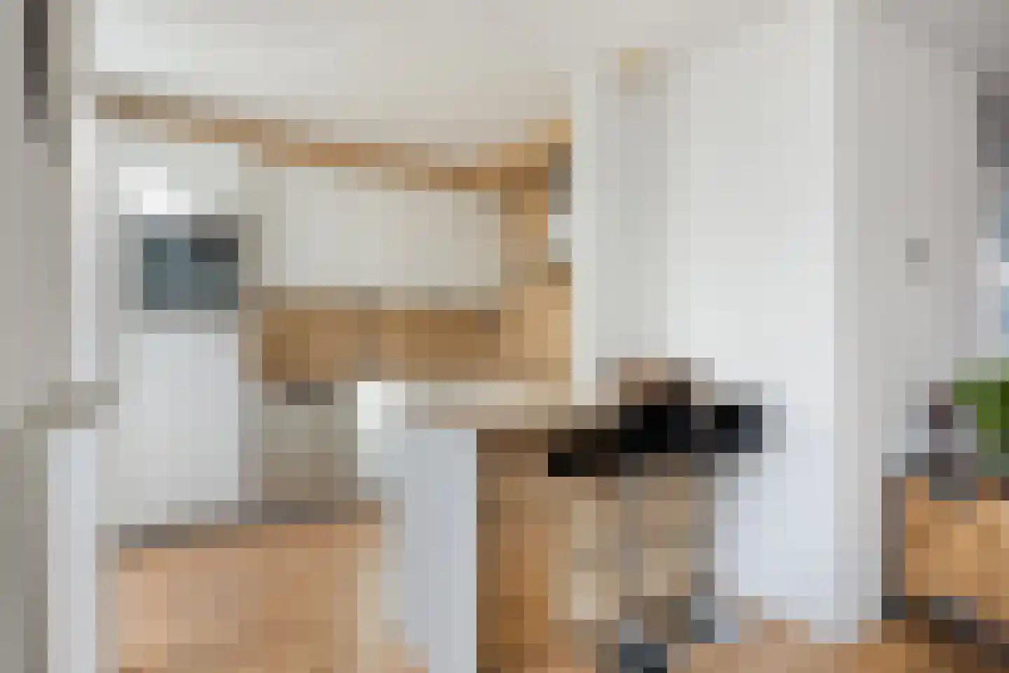 Den Herd 31 Berkel-Enschot thumbnail 8