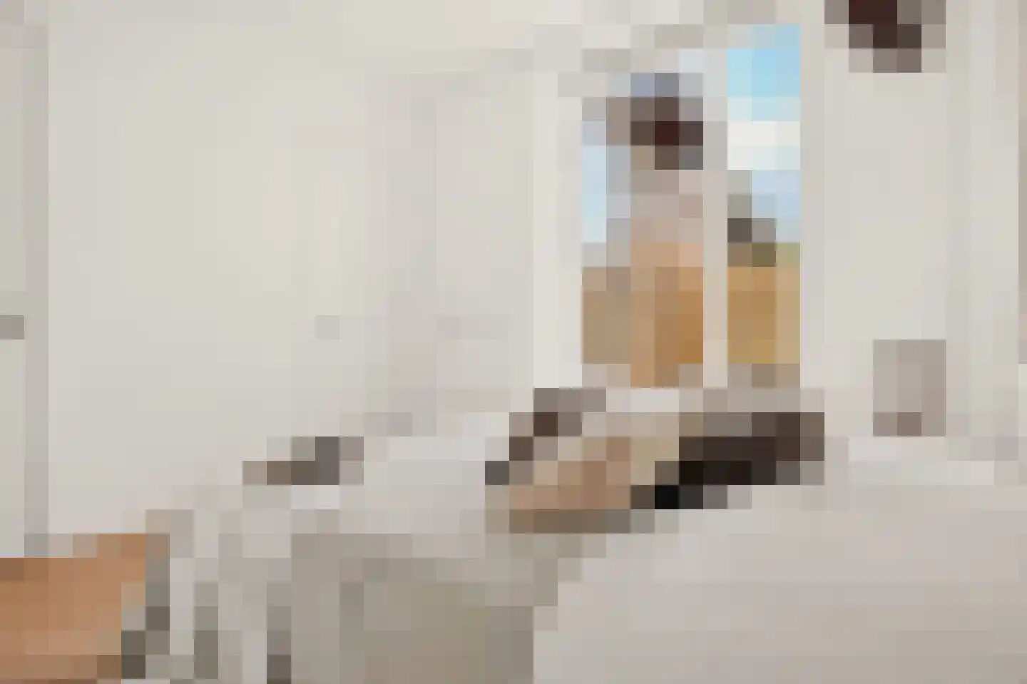 Den Hertigstraat 21 Rotterdam thumbnail 11