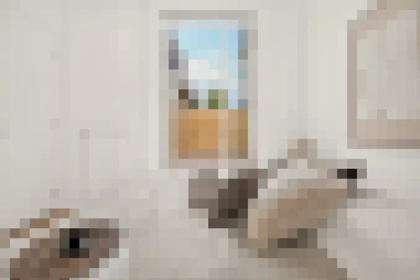 Den Hertigstraat 21 Rotterdam thumbnail 13