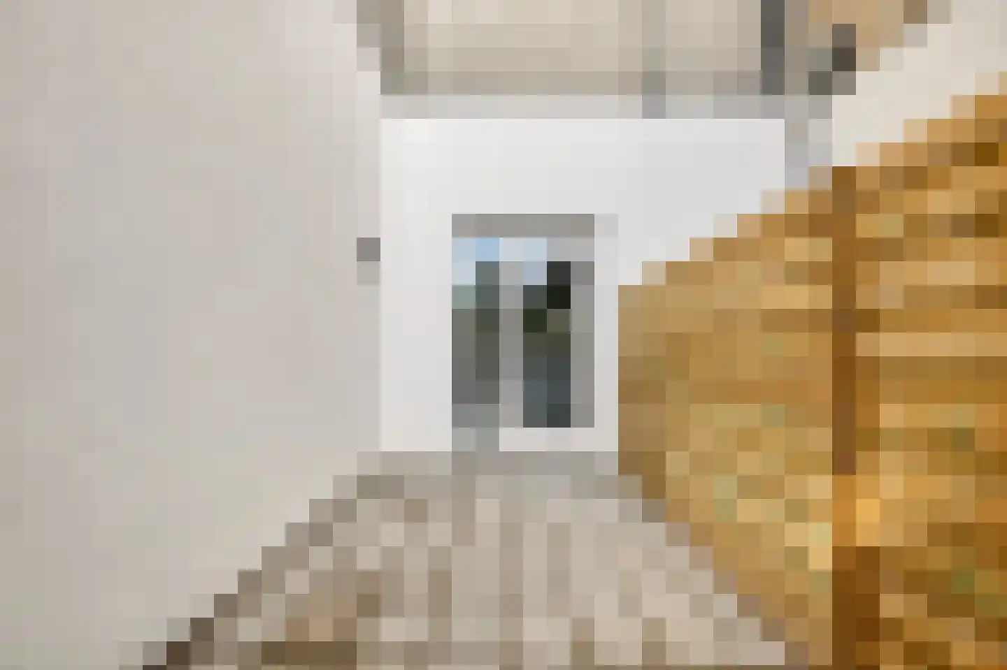 Den Hertigstraat 21 Rotterdam thumbnail 16