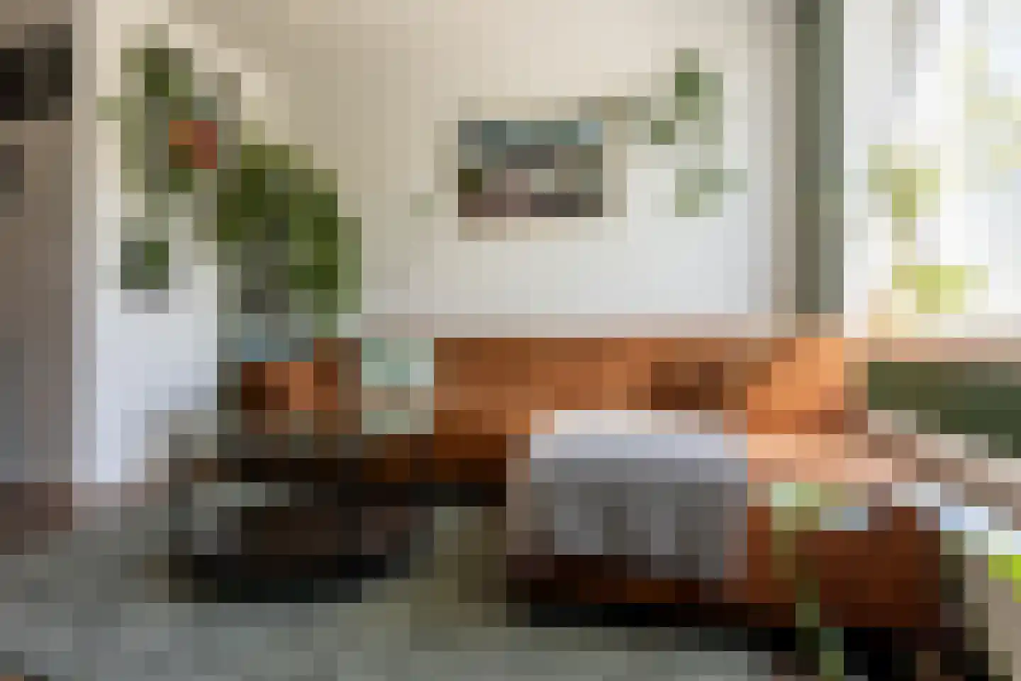 Den Hertigstraat 43 B Rotterdam thumbnail 12