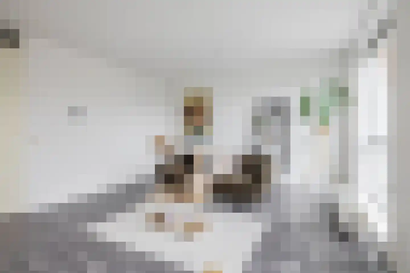 Den Hertigstraat 6 B Rotterdam thumbnail 8