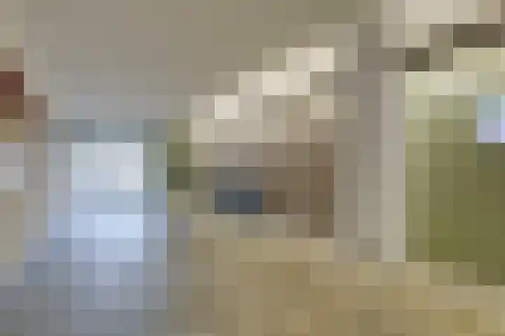 Den Heuvel 104 Velp thumbnail 8