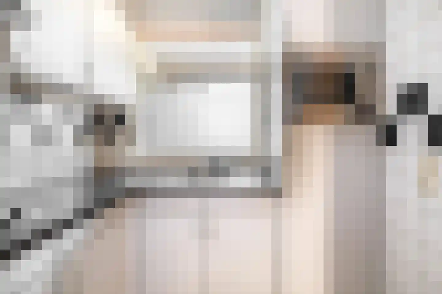 Den Heuvel 126 Velp thumbnail 11