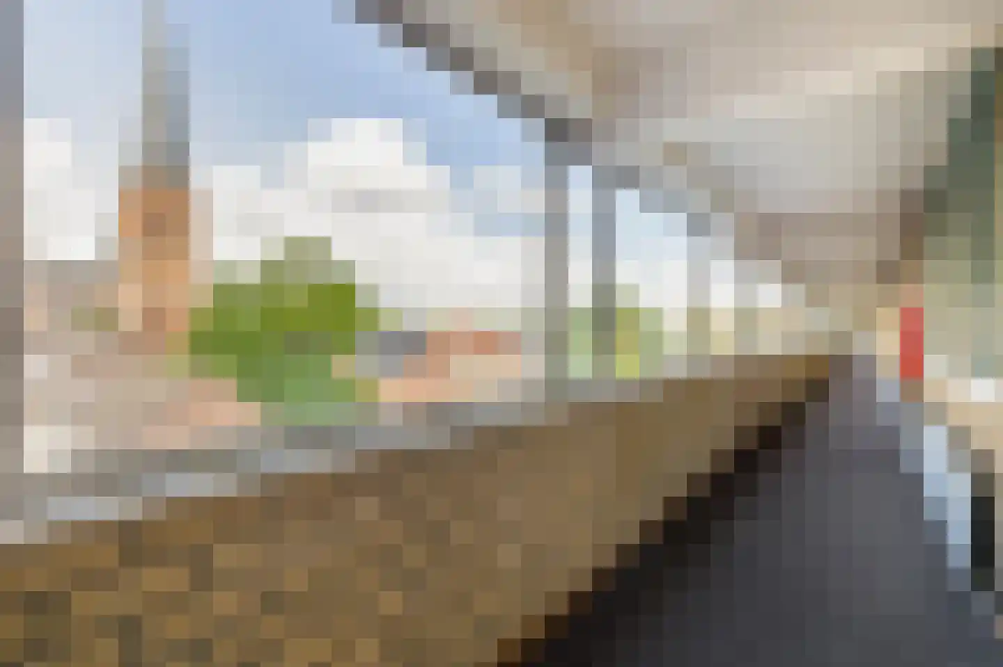 Den Heuvel 126 Velp thumbnail 23