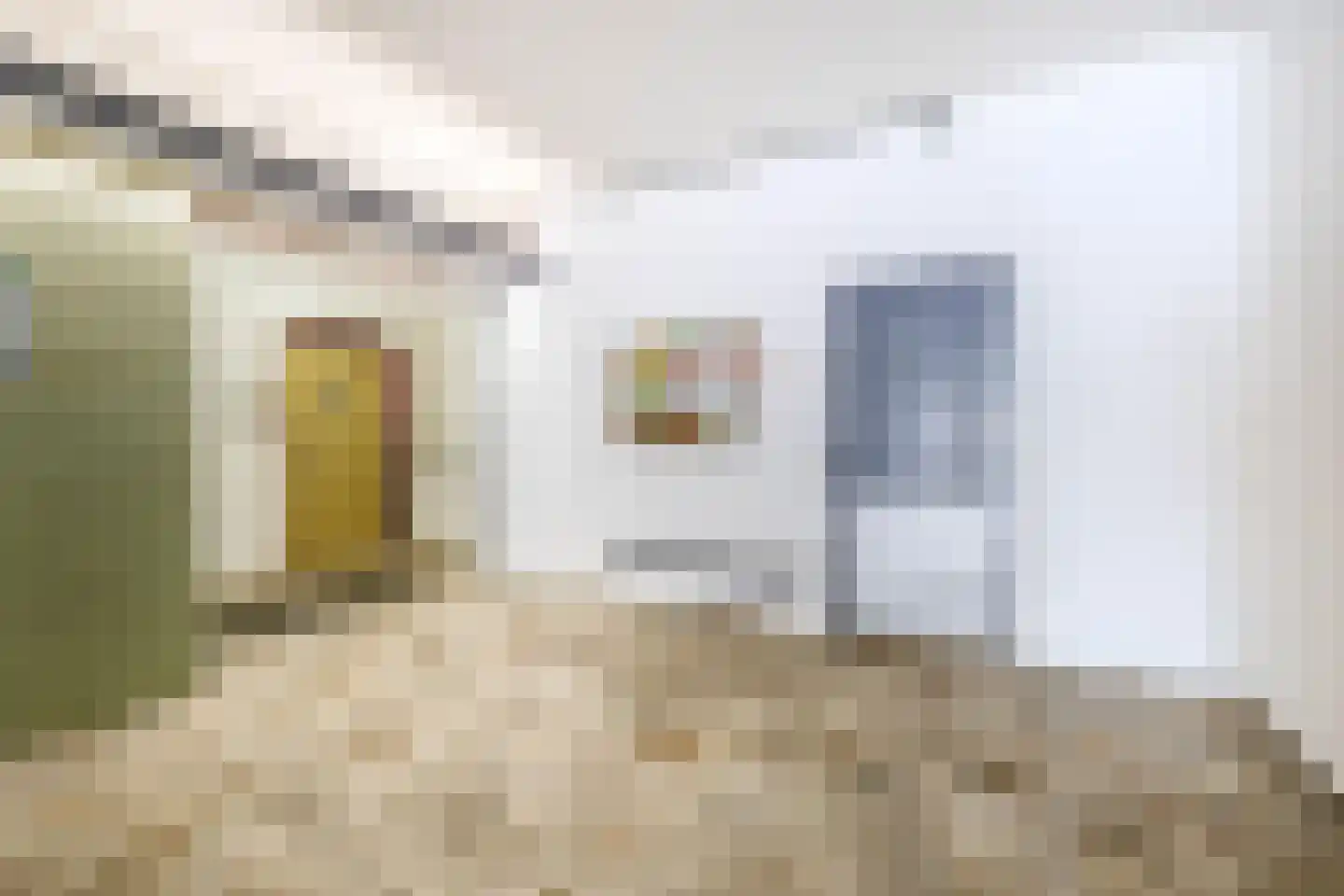 Den Heuvel 126 Velp thumbnail 25