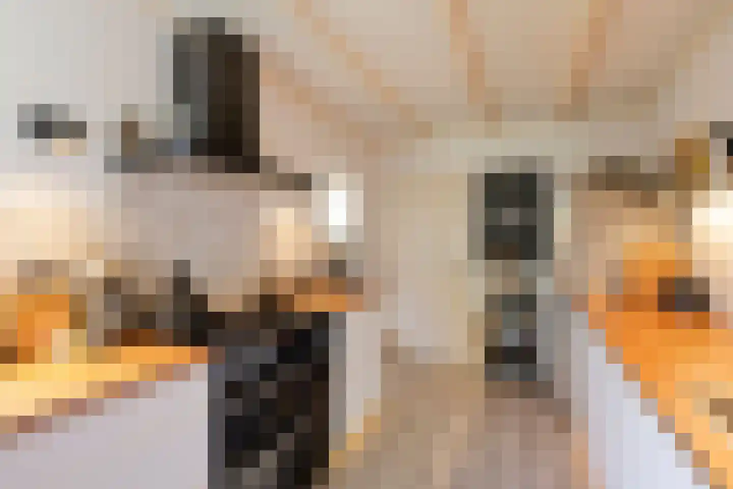 Den Heuvel 14 Knegsel thumbnail 10