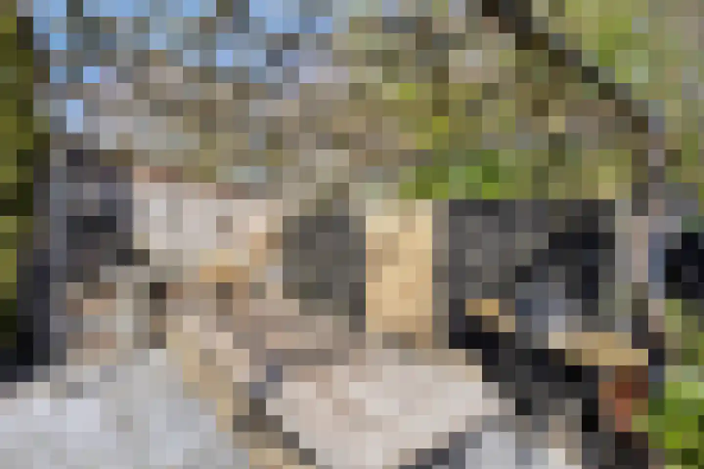 Den Heuvel 14 Knegsel thumbnail 38