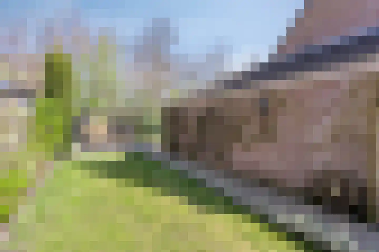 Den Heuvel 14 Knegsel thumbnail 41