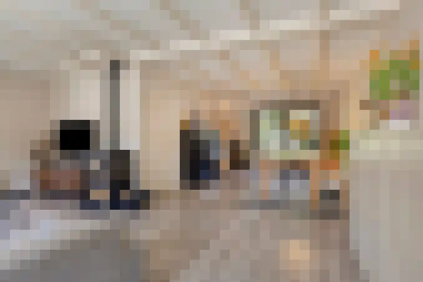 Den Heuvel 14 Knegsel thumbnail 5