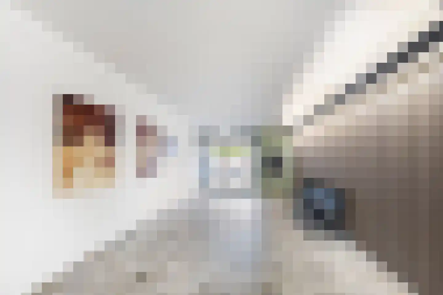 Den Heuvel 152 Velp thumbnail 5