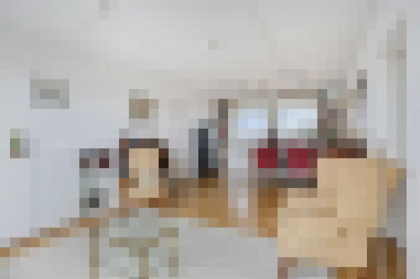 Den Heuvel 174 Velp thumbnail 15