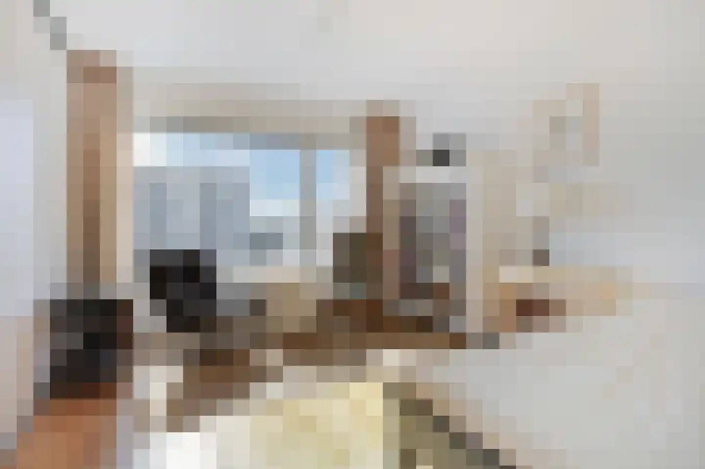 Den Heuvel 174 Velp thumbnail 20