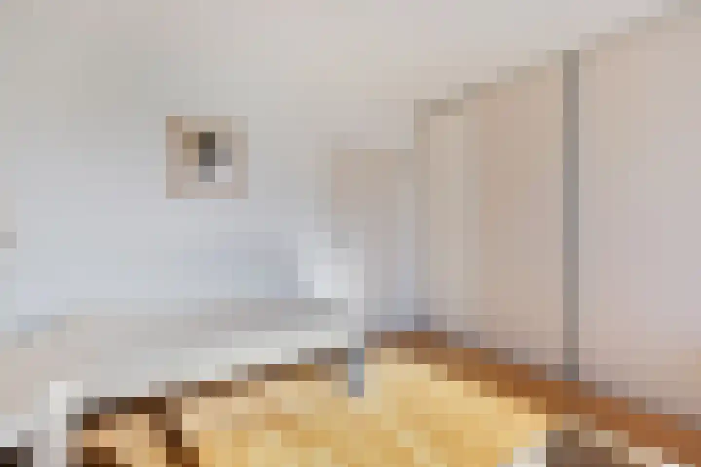 Den Heuvel 174 Velp thumbnail 21