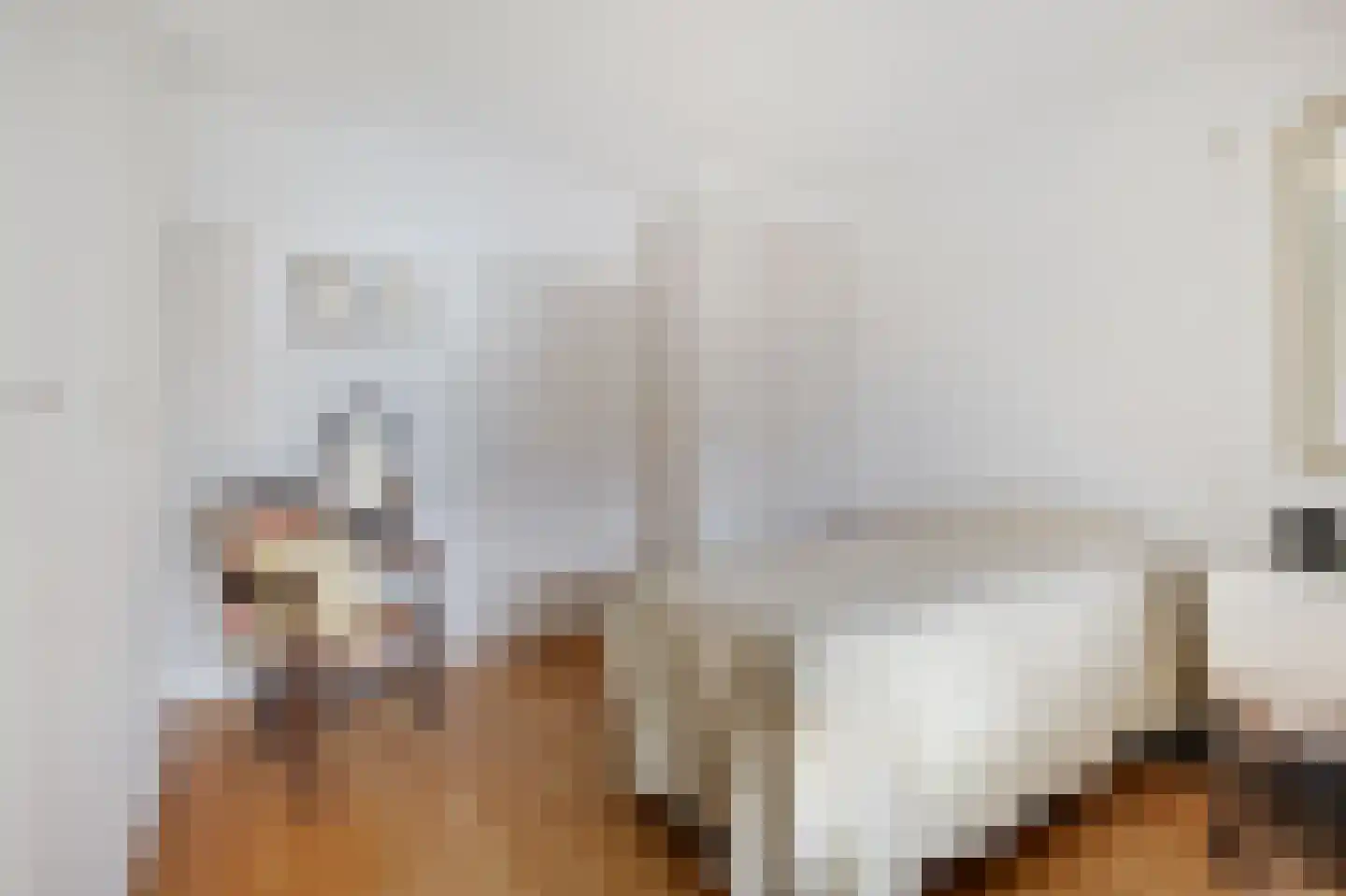 Den Heuvel 174 Velp thumbnail 22