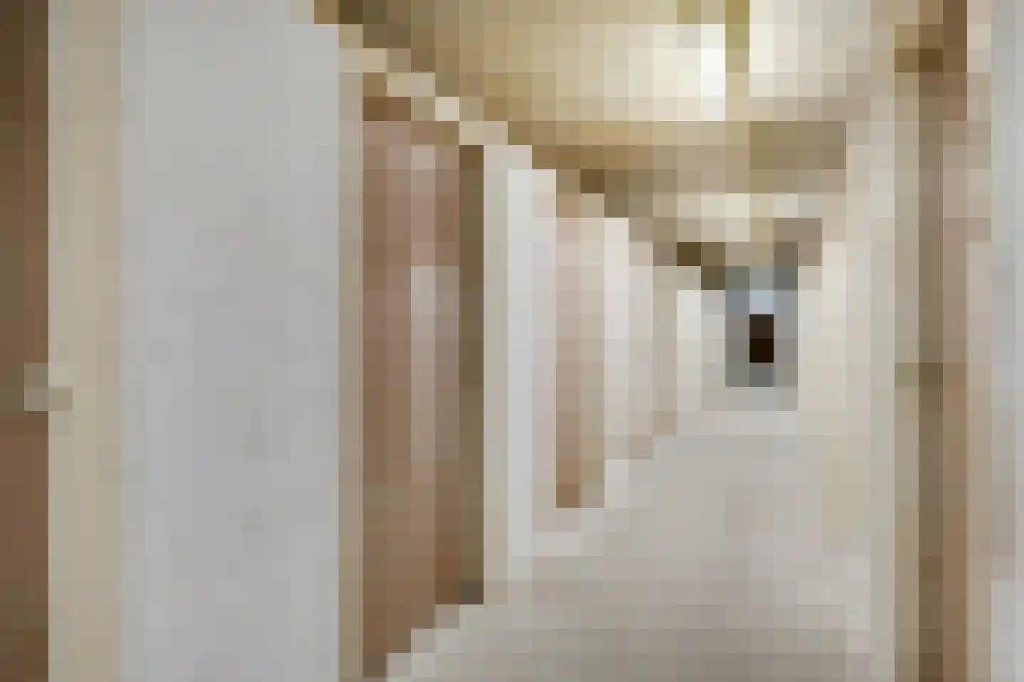 Den Heuvel 174 Velp thumbnail 29
