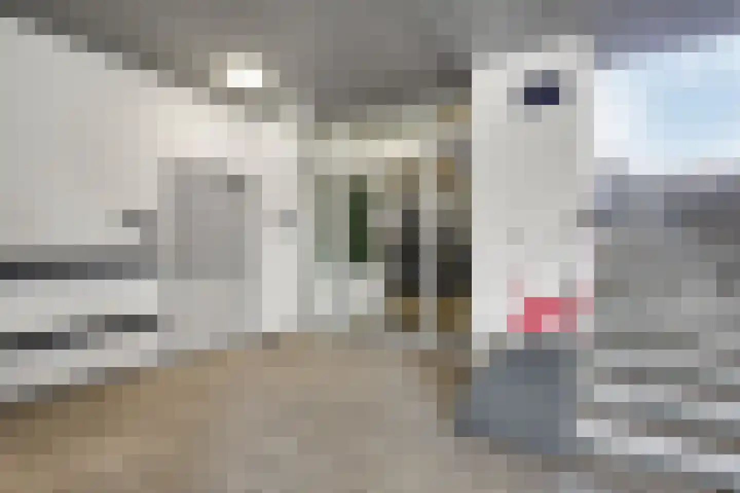 Den Heuvel 174 Velp thumbnail 7