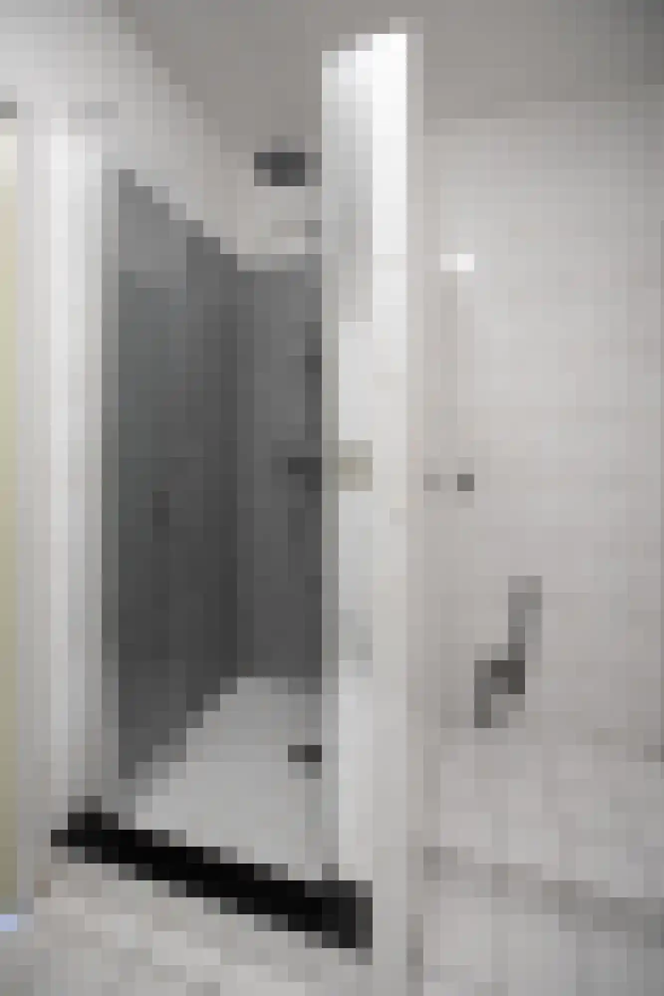 Den Heuvel 182 Velp thumbnail 16