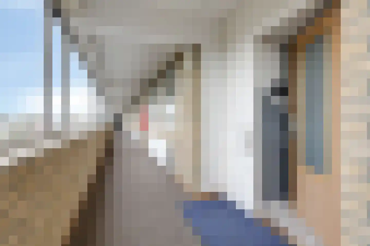 Den Heuvel 182 Velp thumbnail 19