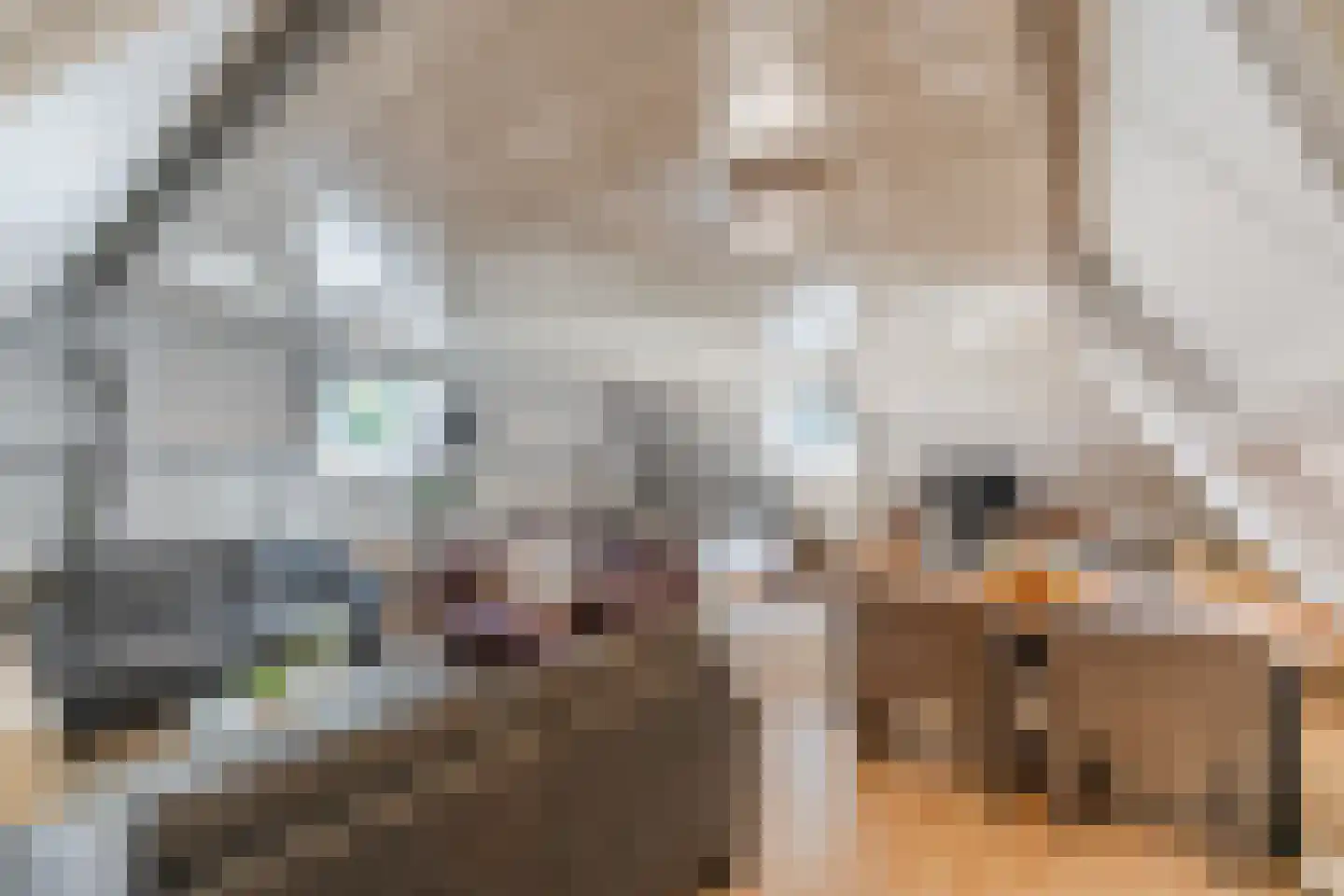 Den Heuvel 19 Knegsel thumbnail 24