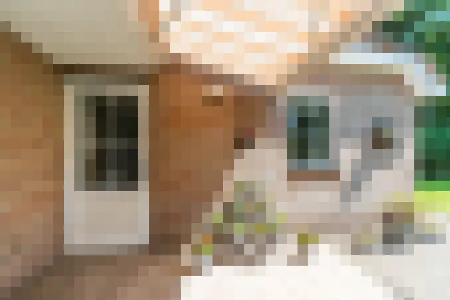 Den Heuvel 19 Knegsel thumbnail 40