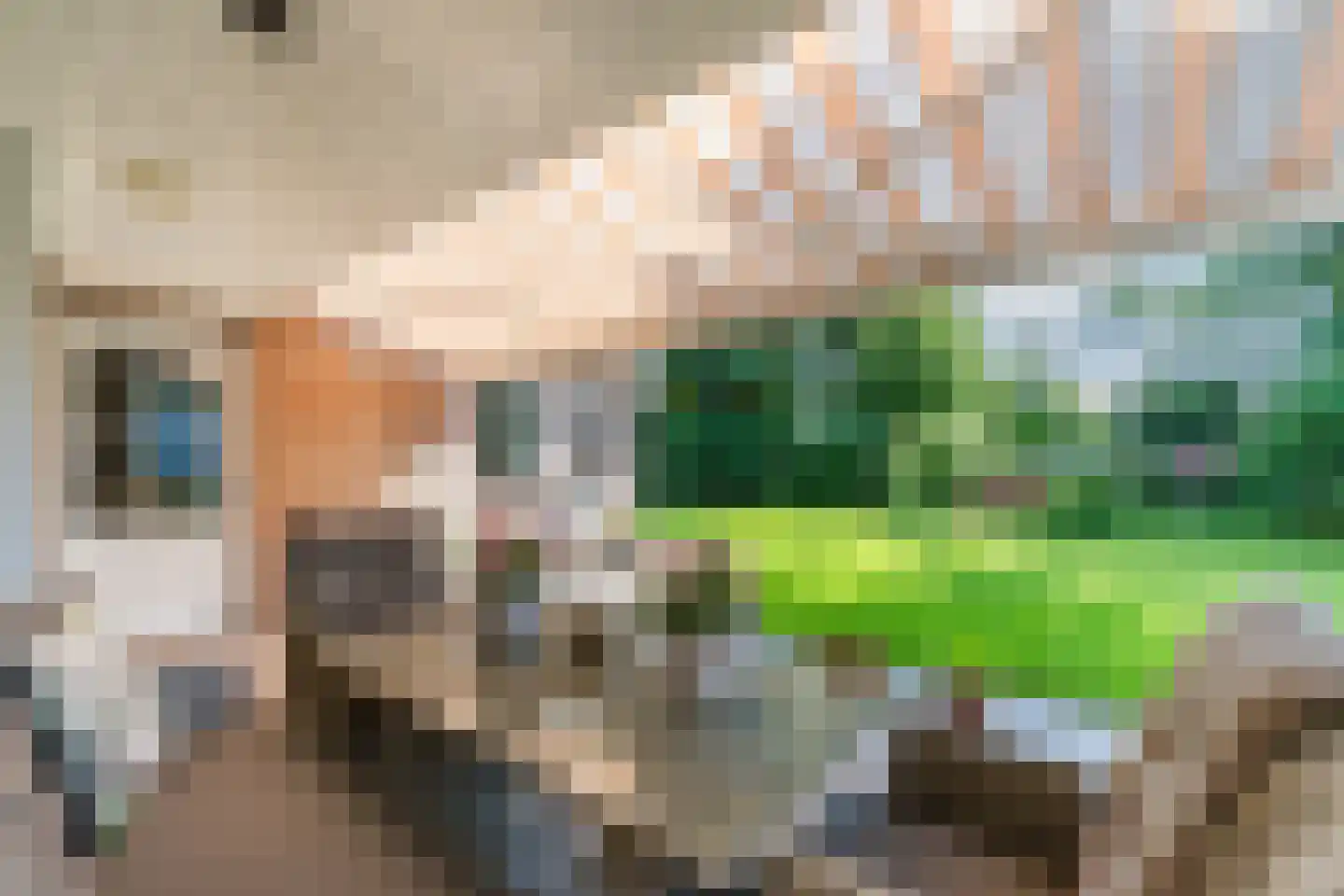 Den Heuvel 19 Knegsel thumbnail 41