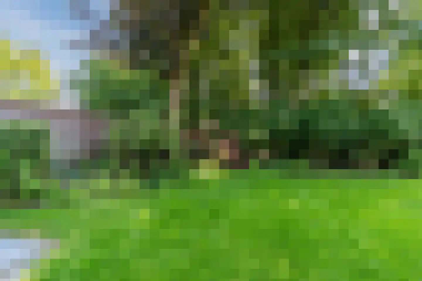 Den Heuvel 19 Knegsel thumbnail 48