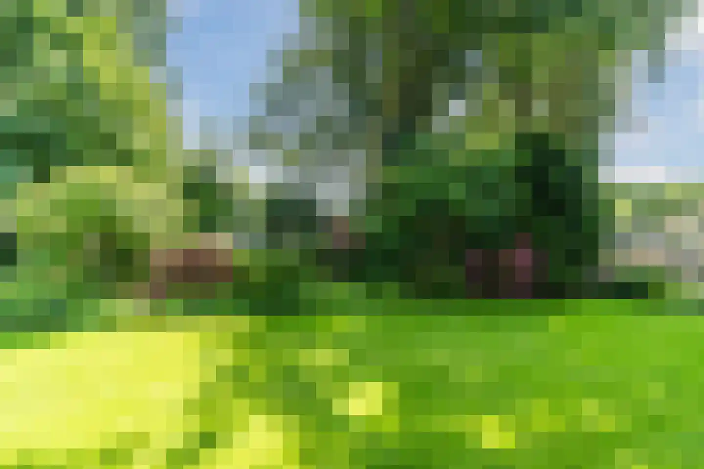 Den Heuvel 19 Knegsel thumbnail 50
