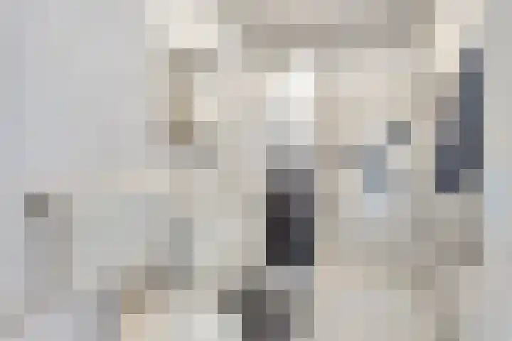 Den Heuvel 21 Velp thumbnail 14