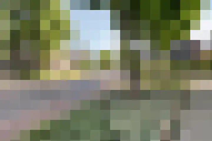 Den Heuvel 21 Velp thumbnail 19