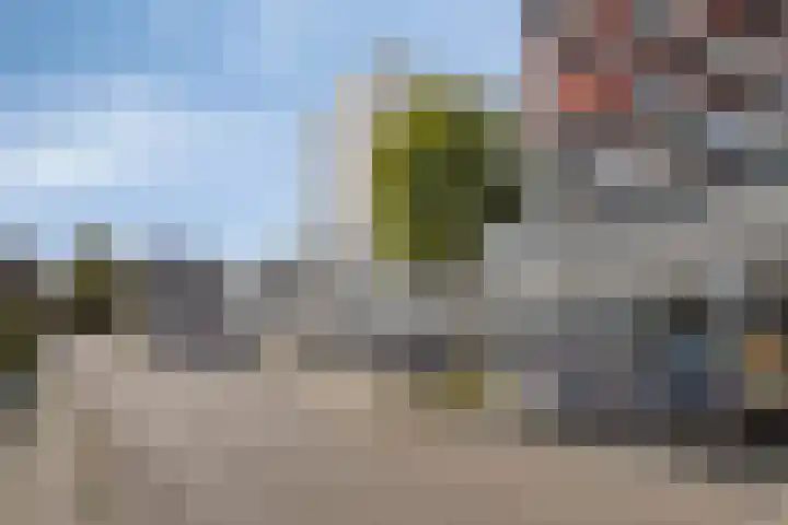 Den Heuvel 21 Velp thumbnail 20