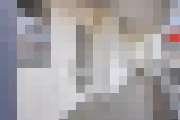 Den Heuvel 21 Velp thumbnail 5
