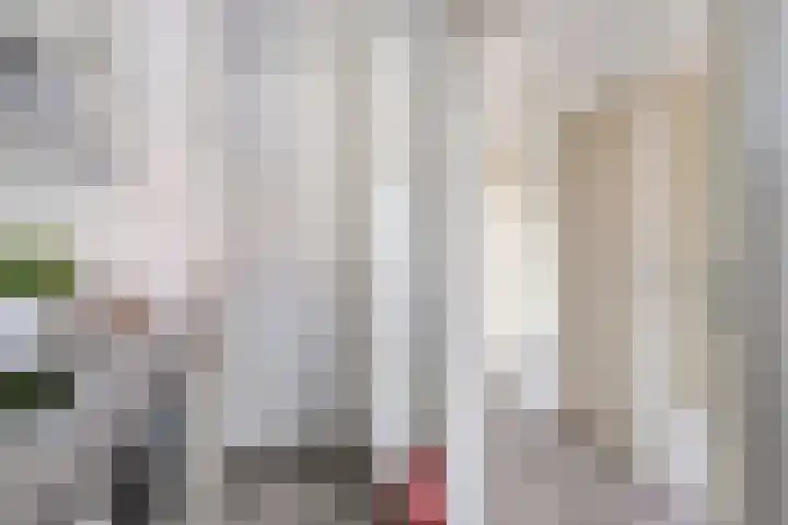 Den Heuvel 21 Velp thumbnail 7