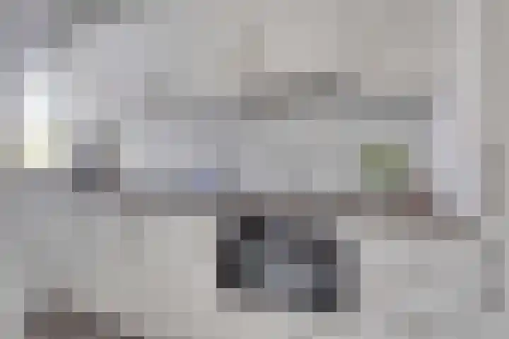 Den Heuvel 21 Velp thumbnail 8