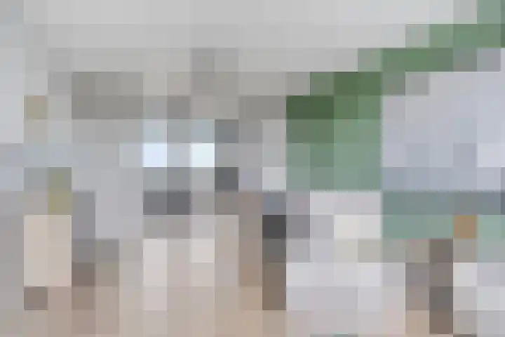 Den Heuvel 214 Velp thumbnail 11