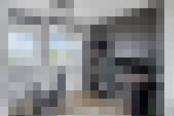 Den Heuvel 214 Velp thumbnail 15