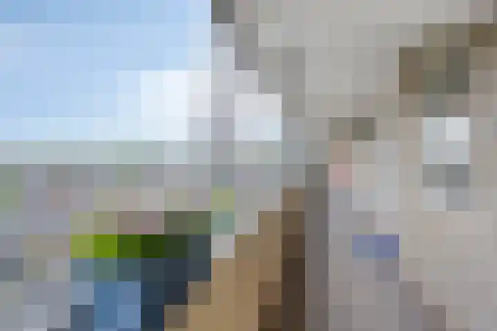 Den Heuvel 214 Velp thumbnail 26